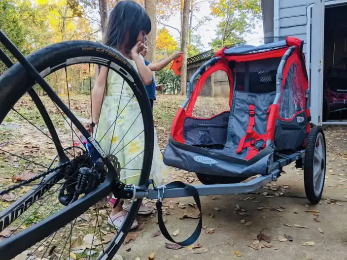 instep bike carrier