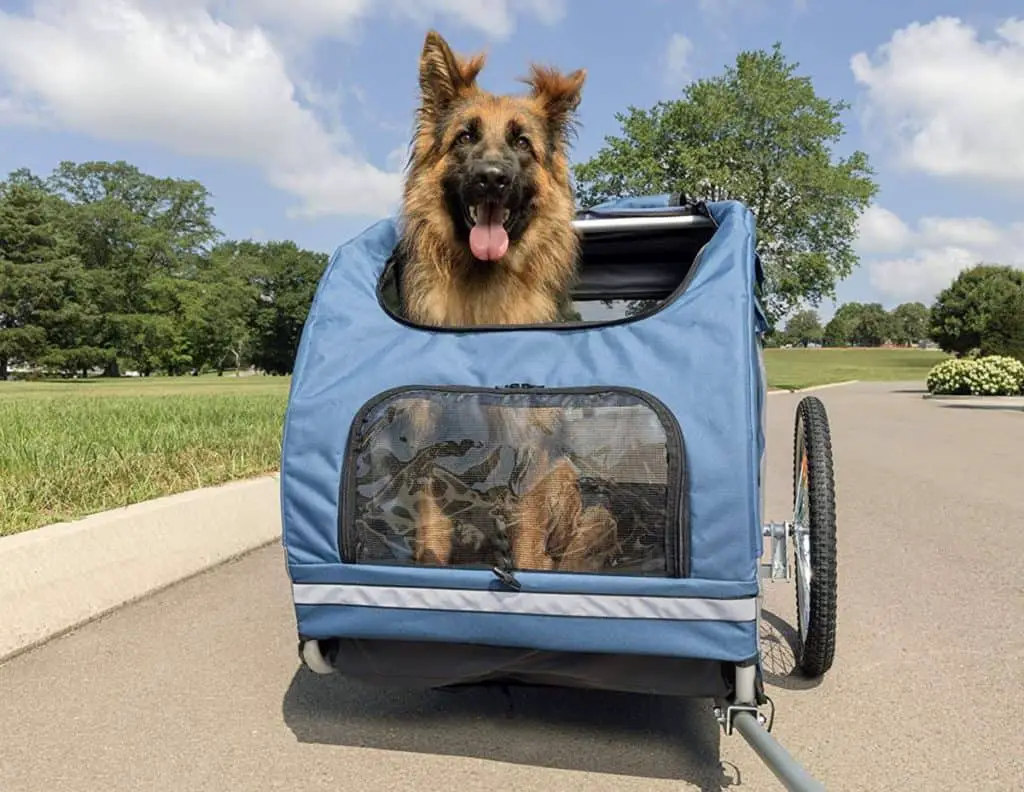 large dog bike trailer